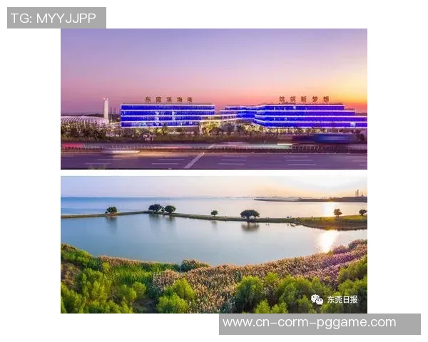 湾区“全”时间丨九成场馆来自改造晋级 “老场馆”怎么“有新意”？